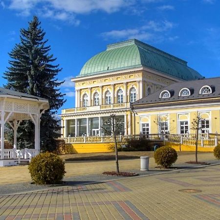 Penzion U Modreho Slona Františkovy Lázně Exteriör bild
