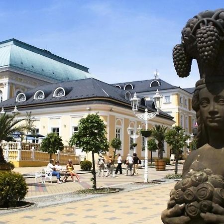 Penzion U Modreho Slona Františkovy Lázně Exteriör bild